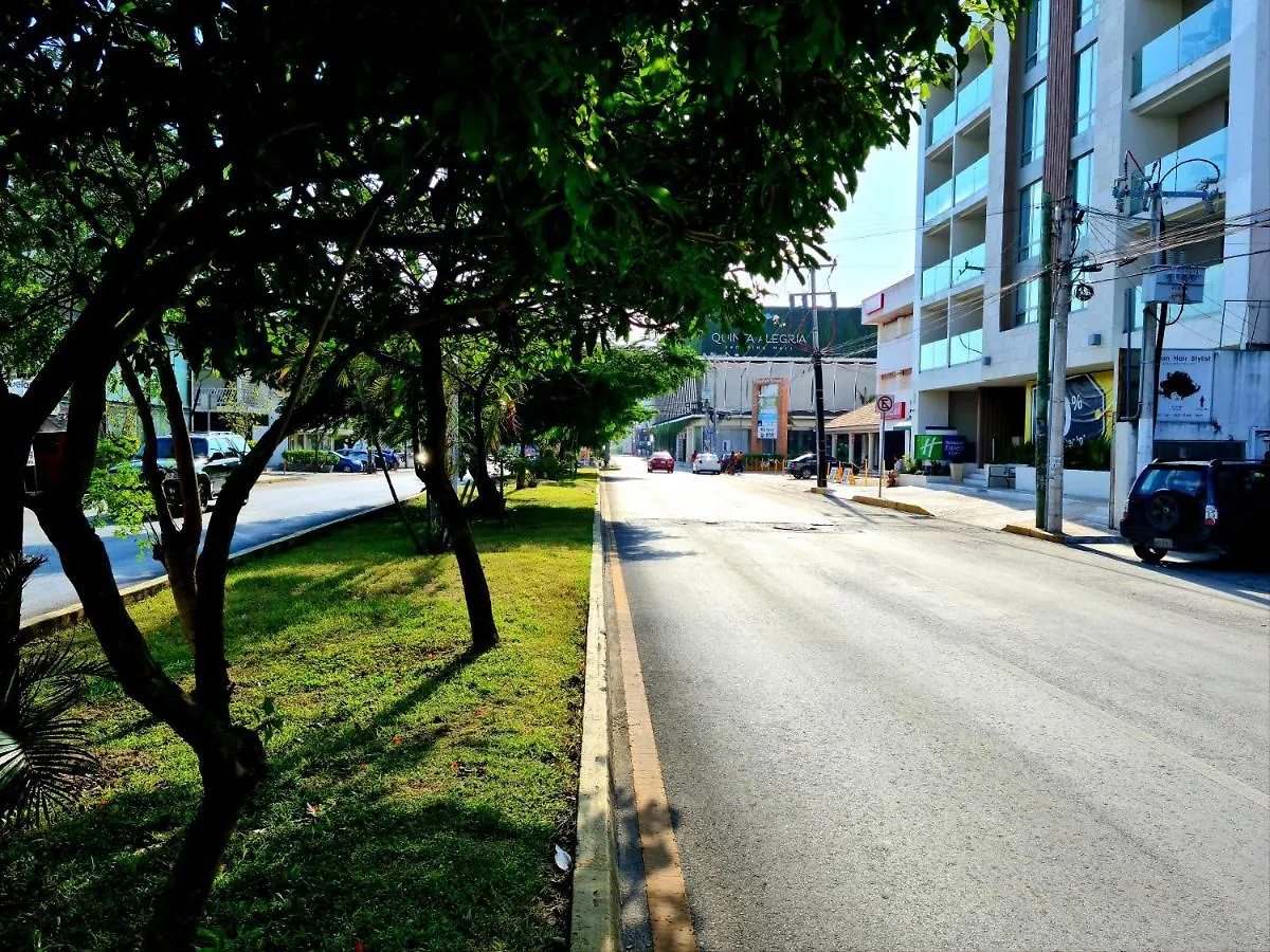 Discover Playa Del Carmen From The Gallery Condos Steps To The Beach Apartment