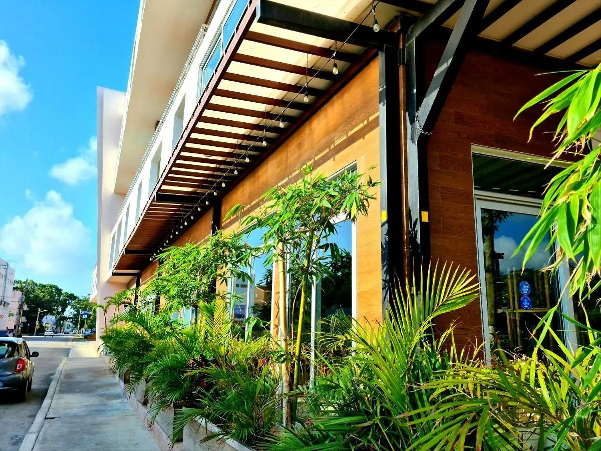Apartment Discover Playa Del Carmen From The Gallery Condos Steps To The Beach Mexico